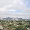 오션파크나인호텔 이미지