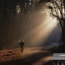 유통행정사 이미지