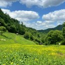 화림사 삼층석탑 | [충청북도 청주시] 추정리 메밀밭