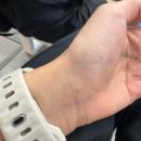 Holly Molly 이미지