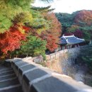 2020-주132 이미지