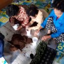 입면 창정 이미지