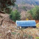 고실농장 이미지