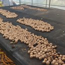 호두부동산공인중개사사무소 이미지