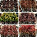 흥해시장 이미지