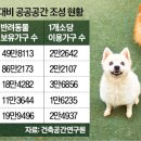 펫인더파크 이미지