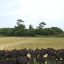 난산보건진료소 이미지