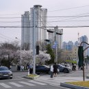 대구광역시청 산격청사 이미지