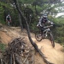 윙바이크 이미지