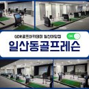골프연습장 | 일산동골프레슨 새해 첫 도전 골프 제대로 배워본 일산동골프연습장 후기 🎯