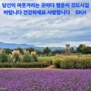 1974년 12월 20일, 서울구치소 차가운 시멘트 바닥. 사형 집행 나이프가 목에다가왔을 때 ＜사형수 문문세광＞입에서 이미지