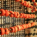 굴구지정원 이미지