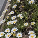 대승이네 이미지