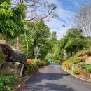 자연종합농원 이미지