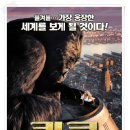 킹콩나이트 이미지