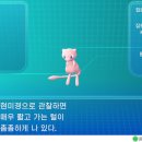 레츠고