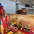 등대세탁 | 대만 어롼비 등대 공원 땅끝 최남단 컨딩여행