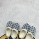 닥터페디 노원점 이미지