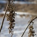 대안3리마을회관 이미지