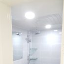 한라동백@ 이미지