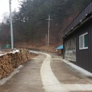 꽃내풀네 이미지