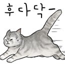 요리주점수다 이미지