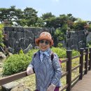 일산 호수공원 걷기 이미지