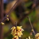 구심농장 이미지