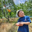 옥석농장 이미지