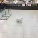 365동물병원위례점 이미지