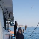 남해호낚시민박 이미지