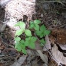 청웅우체국 이미지