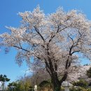 낙남정맥 산행기 (2019/3/31) - 8구간 (마재고개~용추고개) 이미지