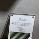 성남작은목욕탕