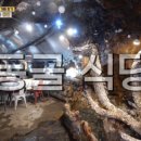 동굴식당 이미지