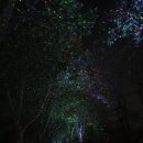 아주커치킨 첨단3점 | 첨단치킨 배달후기 광주치킨은 아주커치킨첨단3점