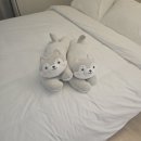 경주엘림하우스 이미지