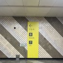 뽑기이야기 | 신사역 이중턱윤곽주사 뽑기주사 2회차 후기 - 통증은 줄이고 얼굴은 작아보이게