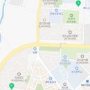 용인대정태권도