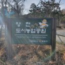 양천2농장 이미지