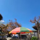 솔밭생수식당 이미지