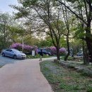 황매산만남의광장화장실 네이버블로그