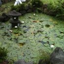 포유펜션 이미지