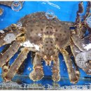 조명수산 이미지