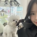 디자인 대로 이미지