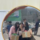 호명나루165풀빌라 이미지