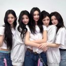모카 - 강진군 보은로 75 | 모카