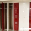 단디스크린골프 이미지