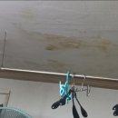 경우 ENG 이미지