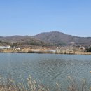 양지저수지 이미지